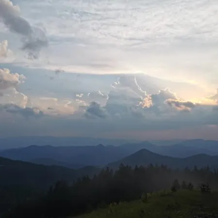 Carobni Breg * Mokra Gora